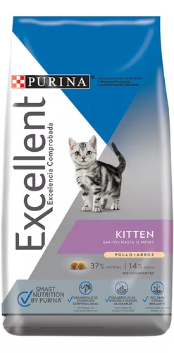 excellent kitten